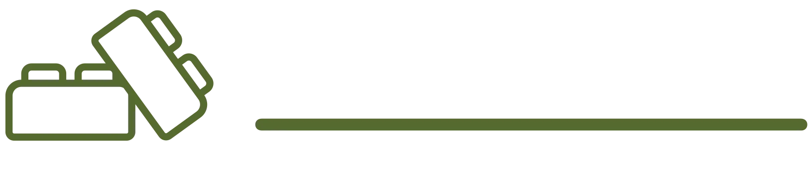 Robricks Logo